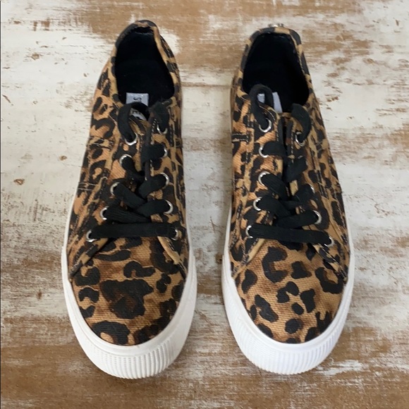 steve madden cheetah platform sneakers